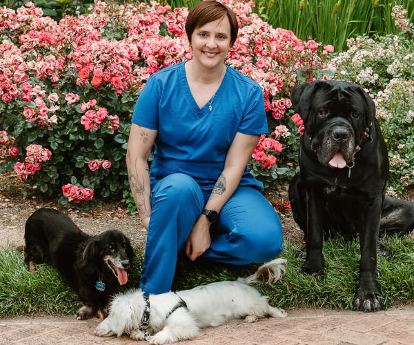 Doctor sitting with three dogs