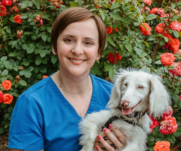 Doctor holding a happy white fluppy dog
